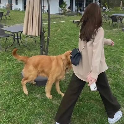 痴心儿女